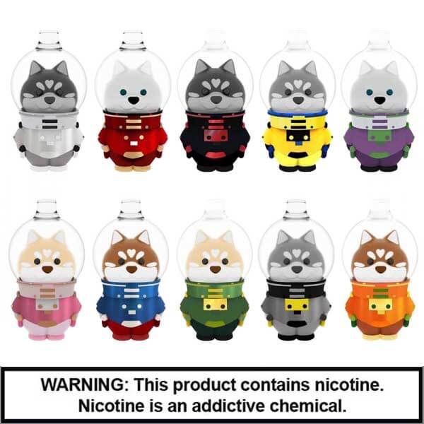 House Of Lit Rechargable Disposables | 5% Nicotine | 6000 Puffs | 10 Count Display product image